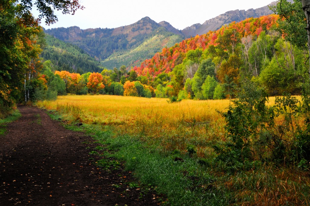 Provo Canyon, Utah jigsaw puzzle in Great Sightings puzzles on TheJigsawPuzzles.com