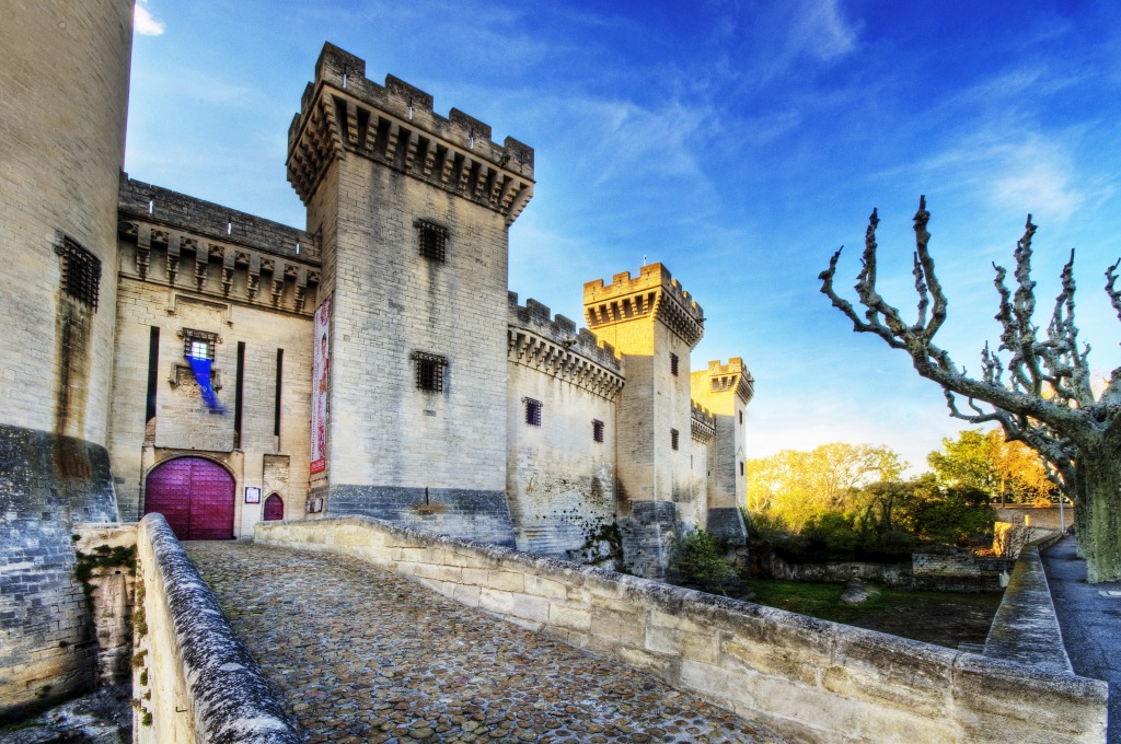 Château de Tarascon jigsaw puzzle in Castles puzzles on TheJigsawPuzzles.com