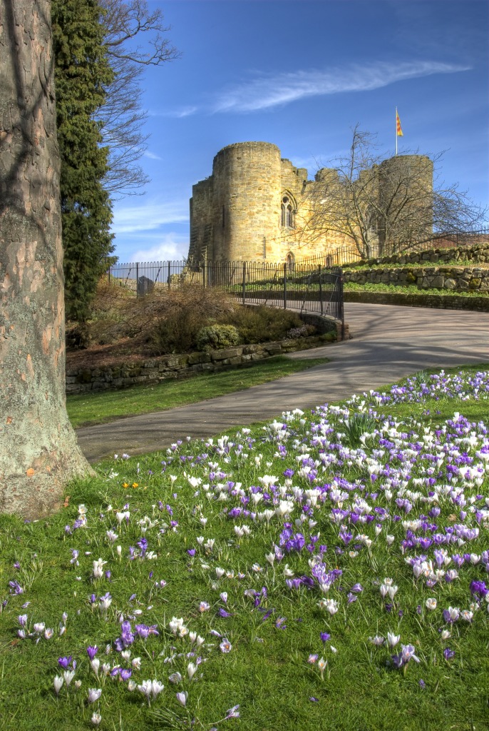 Tonbridge Castle, Kent jigsaw puzzle in Castles puzzles on TheJigsawPuzzles.com