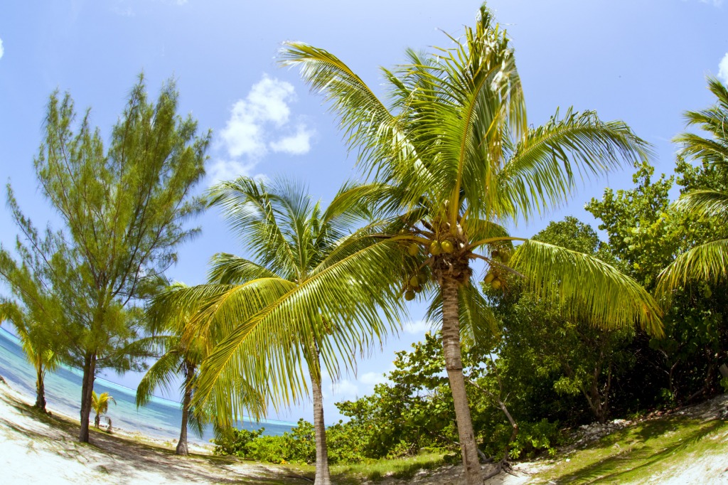 Grand Cayman Island jigsaw puzzle in Great Sightings puzzles on TheJigsawPuzzles.com