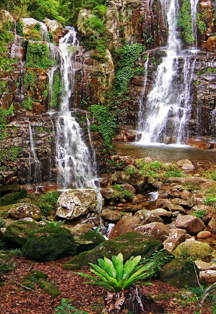 Rainforest jigsaw puzzle in Waterfalls puzzles on TheJigsawPuzzles.com