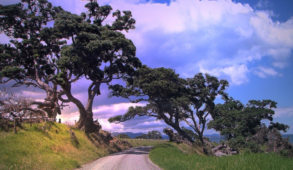 Coromandel Coastline Road jigsaw puzzle in Great Sightings puzzles on TheJigsawPuzzles.com