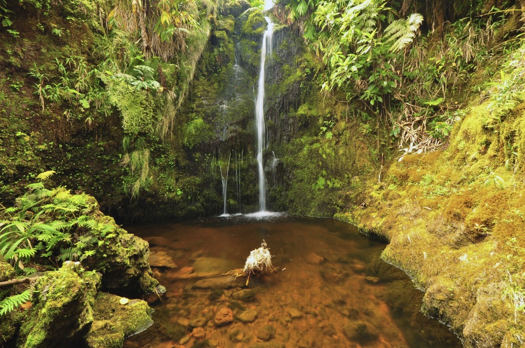 Kohala Forest Preserve jigsaw puzzle in Waterfalls puzzles on TheJigsawPuzzles.com