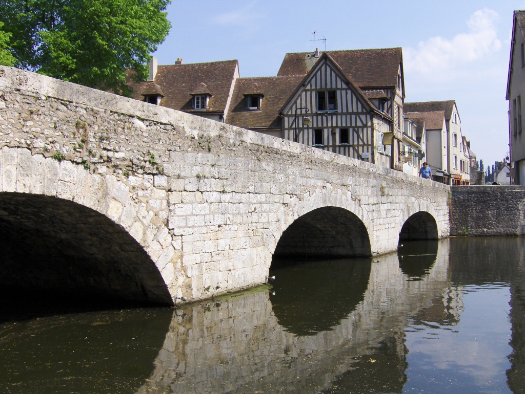 Chartres, France jigsaw puzzle in Bridges puzzles on TheJigsawPuzzles.com