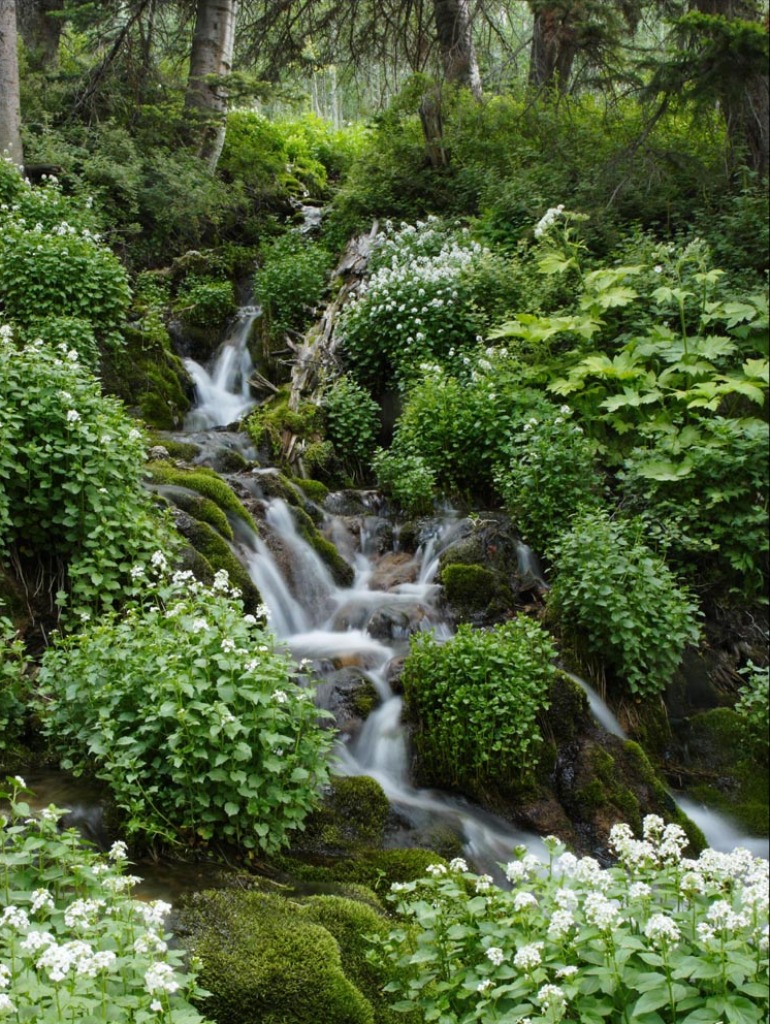 Manti-La Sal, Utah jigsaw puzzle in Waterfalls puzzles on TheJigsawPuzzles.com