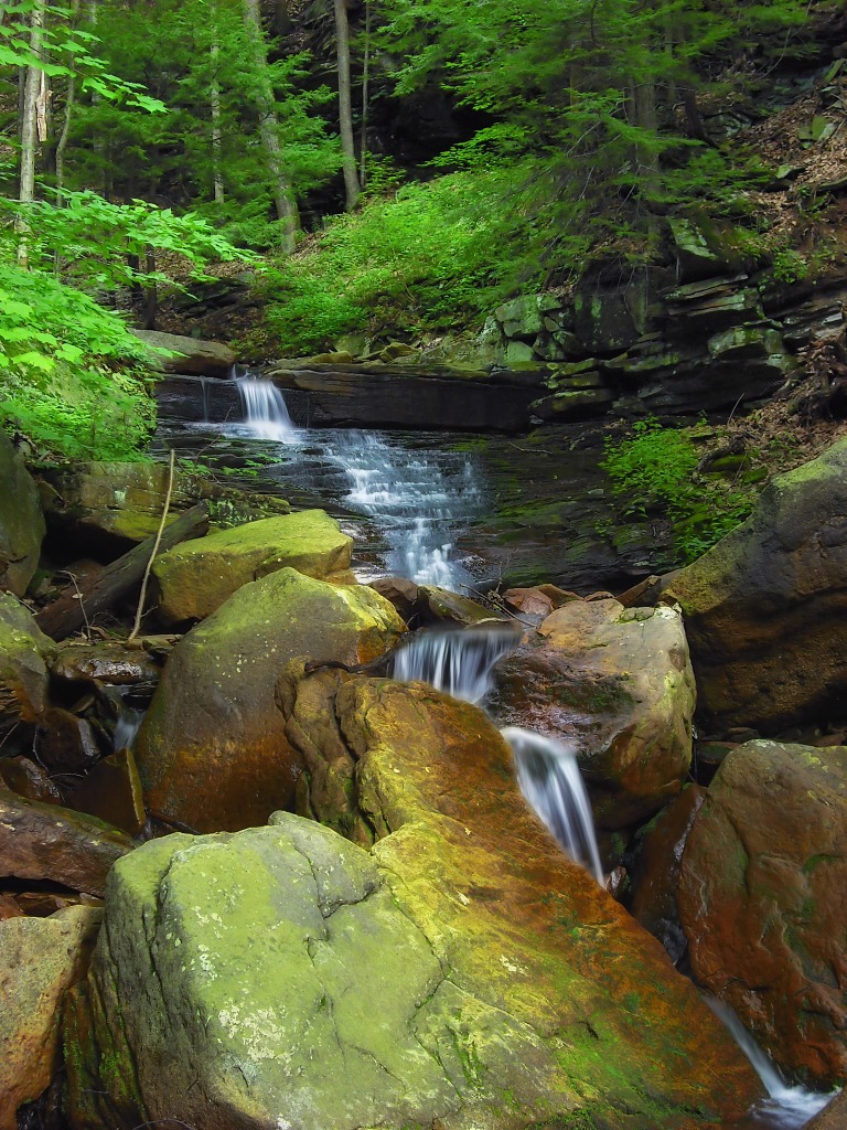 Falls Creek, Bradford County jigsaw puzzle in Waterfalls puzzles on TheJigsawPuzzles.com