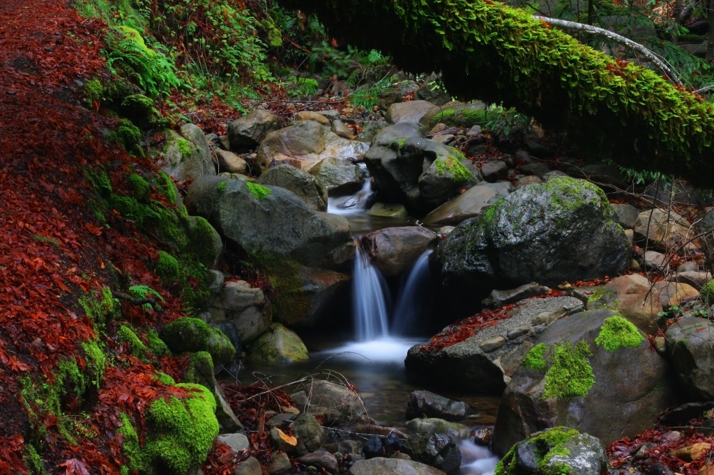 Swanson Creek jigsaw puzzle in Waterfalls puzzles on TheJigsawPuzzles.com