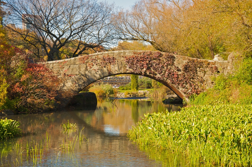 Central Park Foliage jigsaw puzzle in Bridges puzzles on TheJigsawPuzzles.com