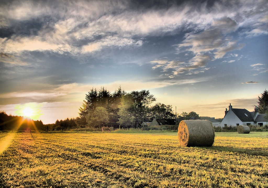 Aberdeenshire, Scotland jigsaw puzzle in Great Sightings puzzles on TheJigsawPuzzles.com