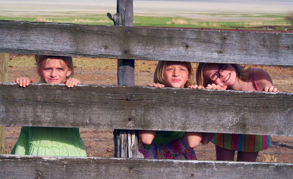 Peeking Through the Fence jigsaw puzzle in People puzzles on TheJigsawPuzzles.com