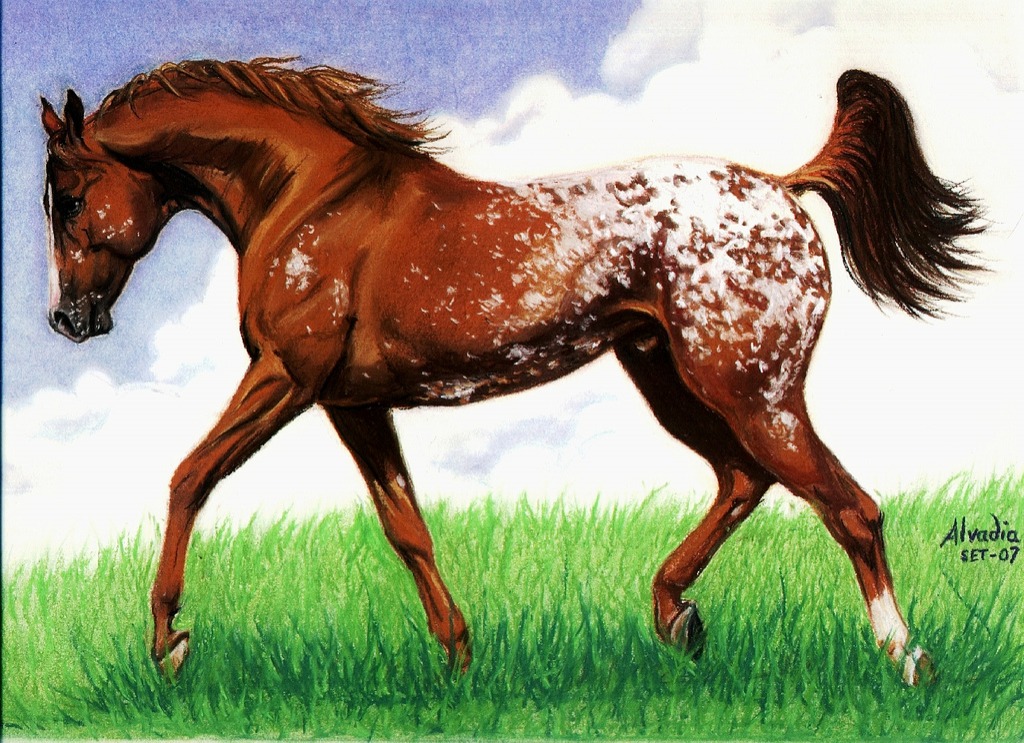 Appaloosa jigsaw puzzle in Piece of Art puzzles on TheJigsawPuzzles.com