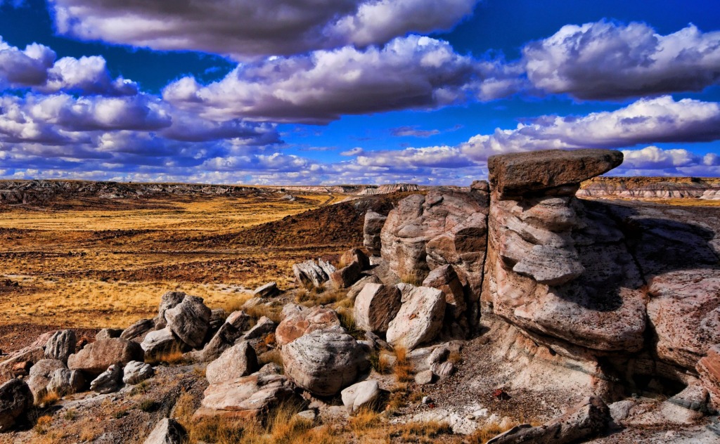 Arizona High Desert Plateau jigsaw puzzle in Great Sightings puzzles on TheJigsawPuzzles.com