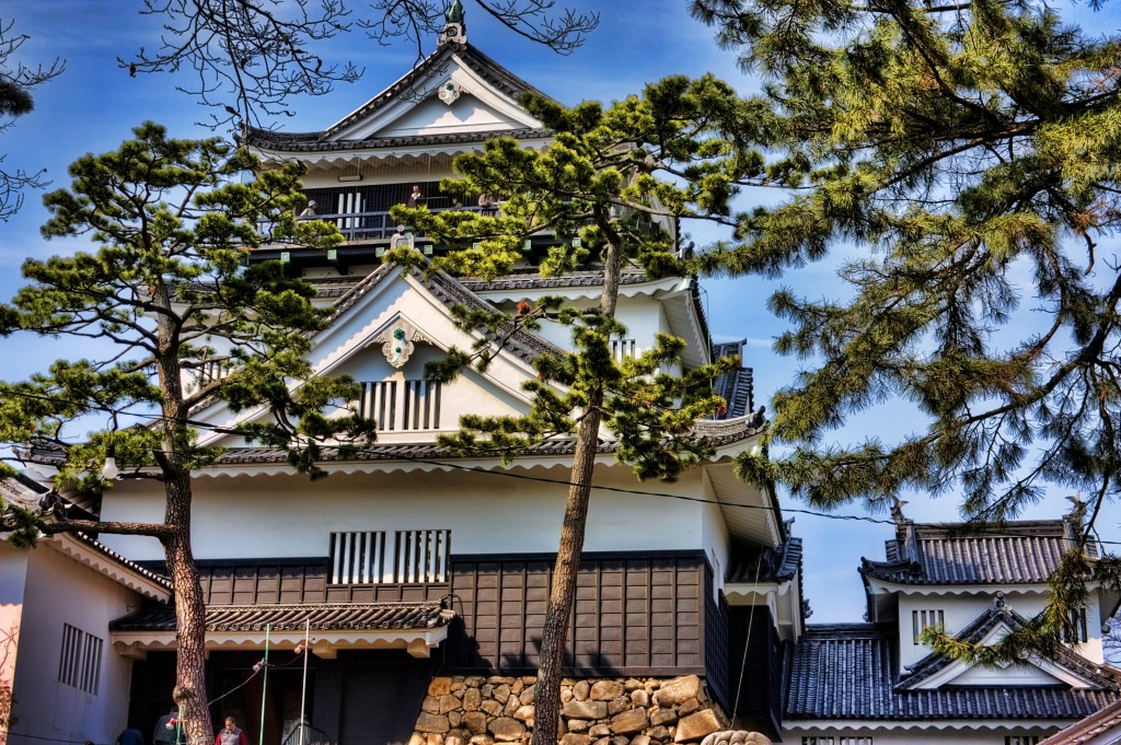 Okazaki Castle jigsaw puzzle in Castles puzzles on TheJigsawPuzzles.com