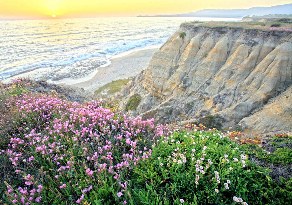 Half Moon Bay jigsaw puzzle in Great Sightings puzzles on TheJigsawPuzzles.com