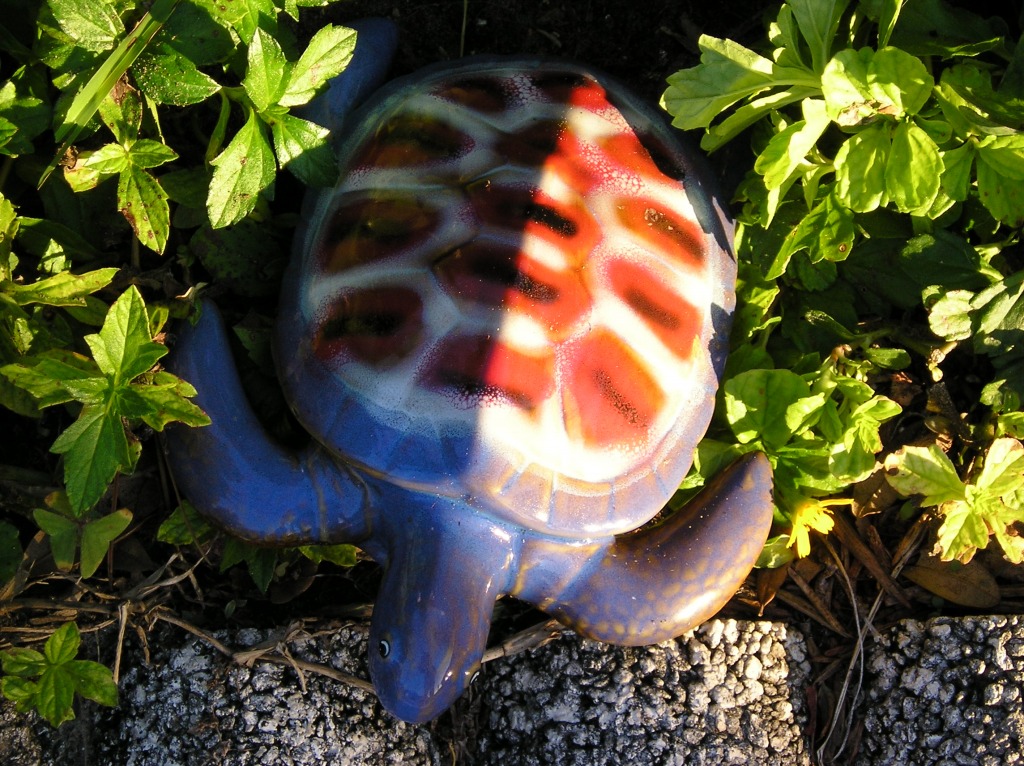 Red, White and Blue Turtle jigsaw puzzle in Macro puzzles on TheJigsawPuzzles.com