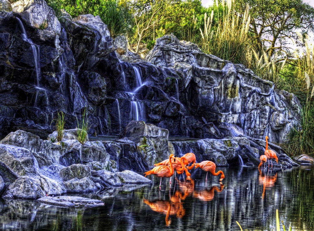 Waterfall Flamingos jigsaw puzzle in Waterfalls puzzles on TheJigsawPuzzles.com