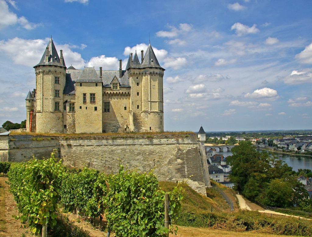 Saumur, France jigsaw puzzle in Castles puzzles on TheJigsawPuzzles.com