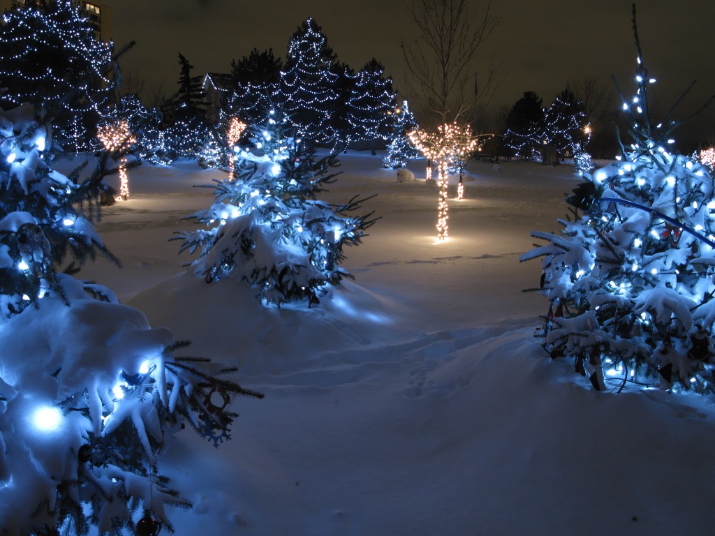 Chinguacousy Park Christmas Lights jigsaw puzzle in Christmas & New Year puzzles on TheJigsawPuzzles.com