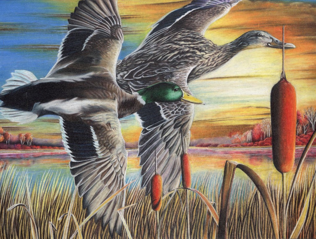 Duck Stamp Art Contest jigsaw puzzle in Puzzle of the Day puzzles on TheJigsawPuzzles.com