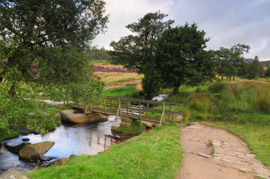 Padley Gorge jigsaw puzzle in Puzzle of the Day puzzles on TheJigsawPuzzles.com