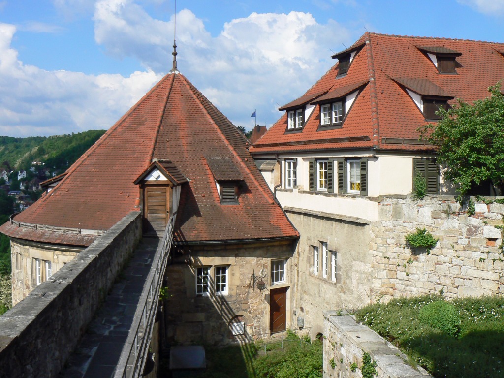 Tübingen, Germany jigsaw puzzle in Castles puzzles on TheJigsawPuzzles.com