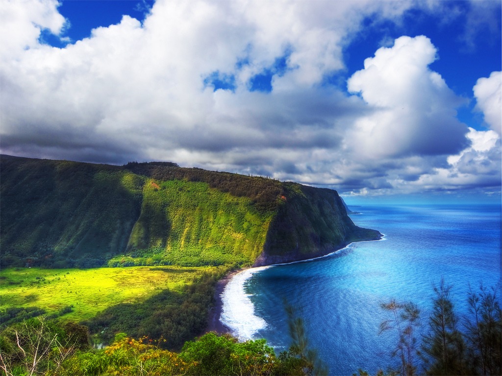 Waipio Valley, Hawaii jigsaw puzzle in Great Sightings puzzles on TheJigsawPuzzles.com