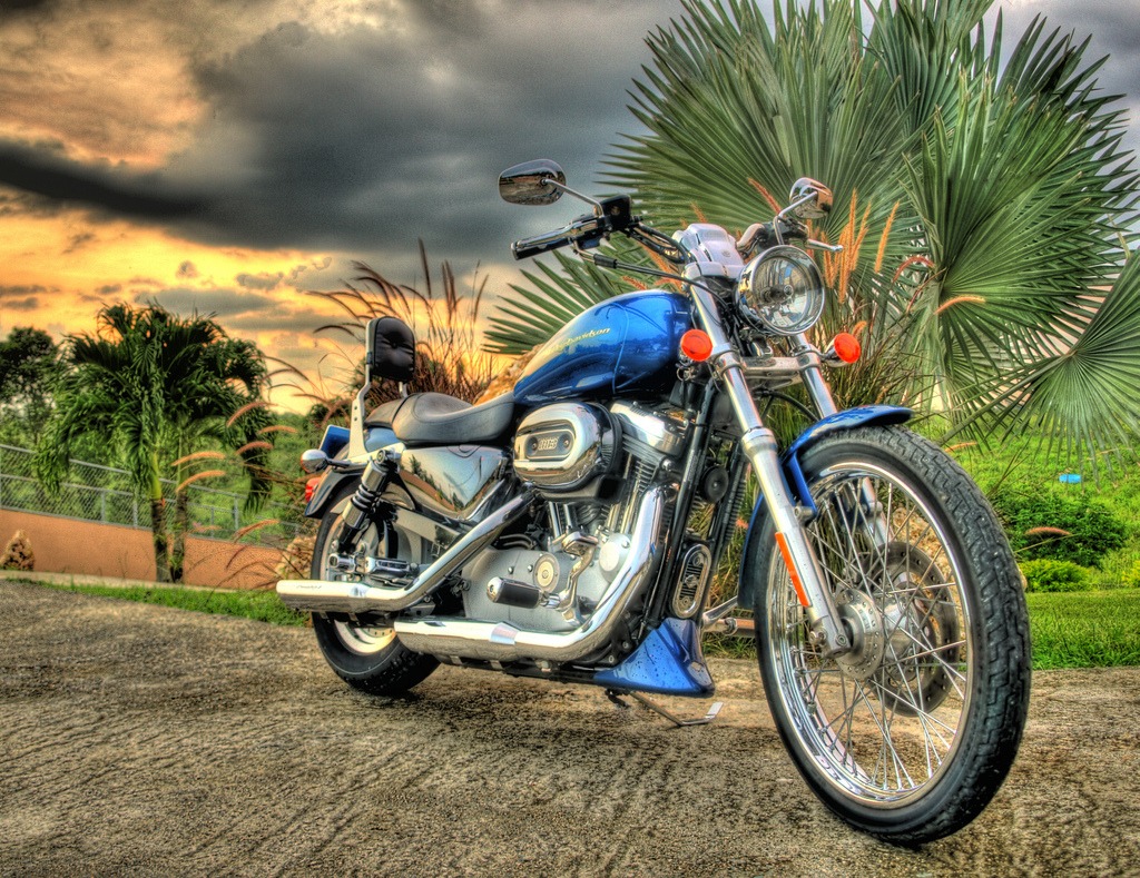 Harley Davidson jigsaw puzzle in Cars & Bikes puzzles on TheJigsawPuzzles.com