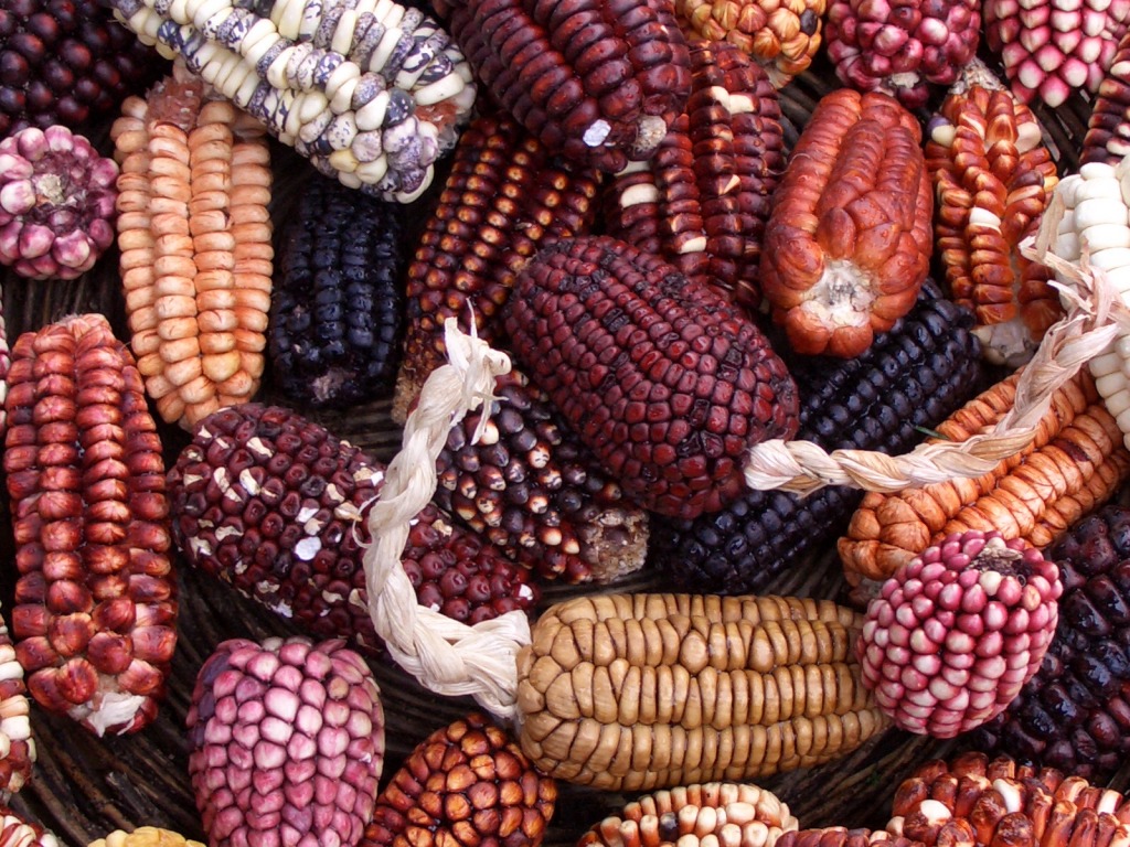 Grown in Peru jigsaw puzzle in Fruits & Veggies puzzles on TheJigsawPuzzles.com