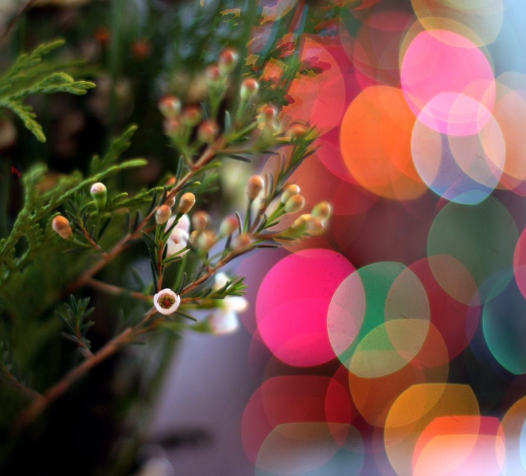 Christmas Light Bokeh jigsaw puzzle in Christmas & New Year puzzles on TheJigsawPuzzles.com