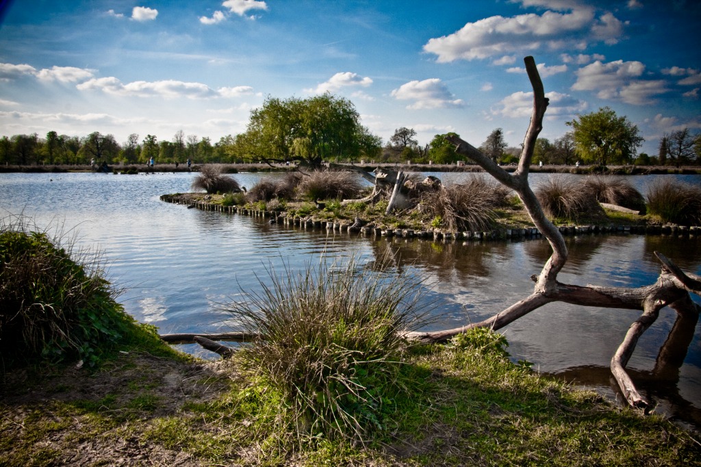 Bushy Park Lake jigsaw puzzle in Great Sightings puzzles on TheJigsawPuzzles.com