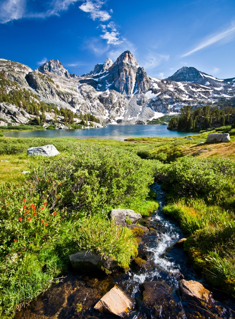 Rae Lakes Creek jigsaw puzzle in Great Sightings puzzles on TheJigsawPuzzles.com