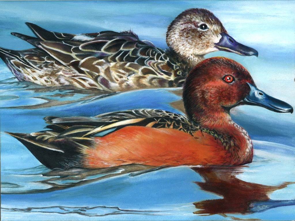 Duck Stamp Art Contest jigsaw puzzle in Puzzle of the Day puzzles on TheJigsawPuzzles.com