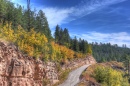 Coconino National Forest