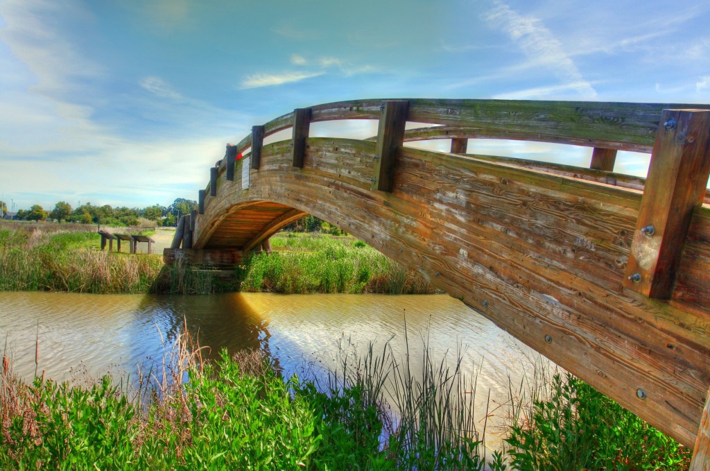 Moonbridge, Martinez Shoreline jigsaw puzzle in Bridges puzzles on TheJigsawPuzzles.com