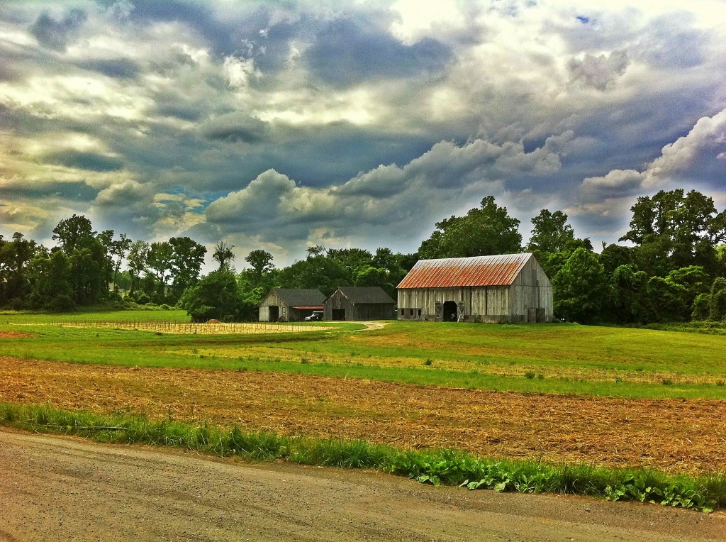 Clagett Farm jigsaw puzzle in Puzzle of the Day puzzles on TheJigsawPuzzles.com