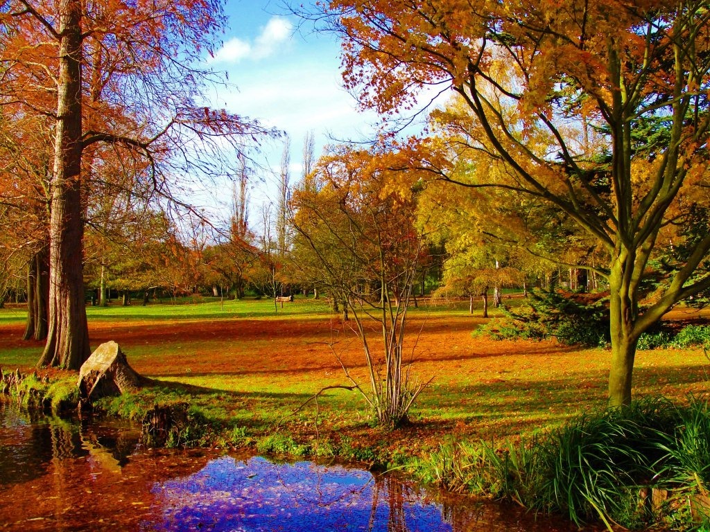 Bushy Park, England jigsaw puzzle in Street View puzzles on TheJigsawPuzzles.com