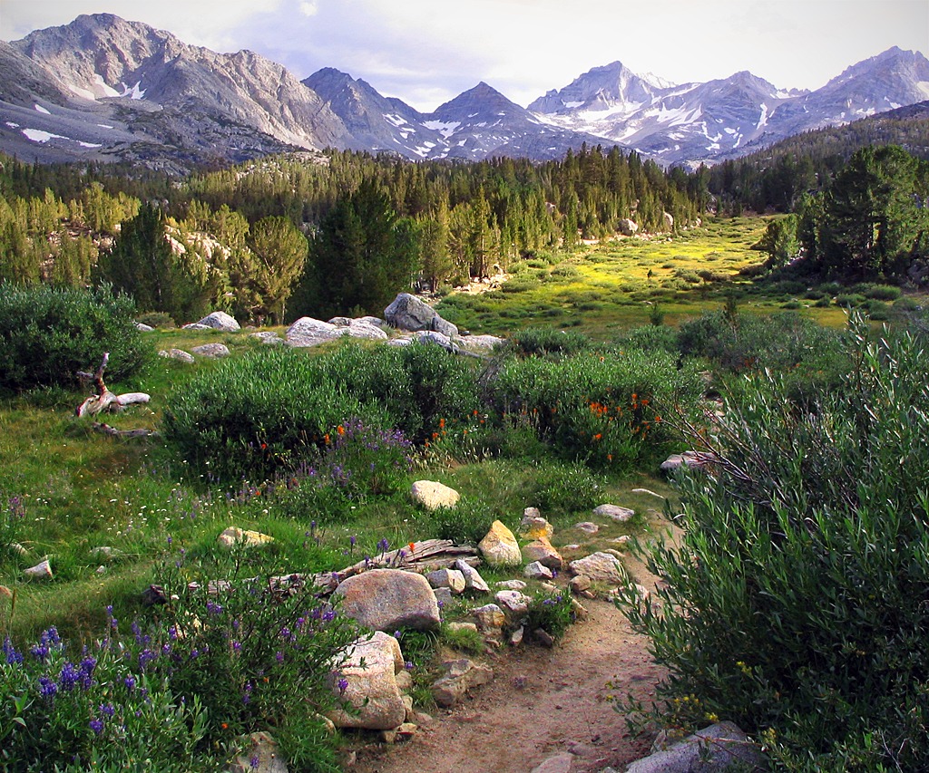 Little Lakes Valley jigsaw puzzle in Great Sightings puzzles on TheJigsawPuzzles.com