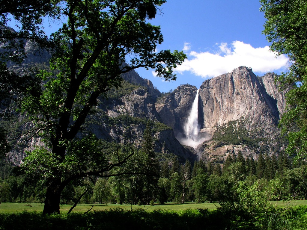 Yosemite Falls jigsaw puzzle in Waterfalls puzzles on TheJigsawPuzzles.com