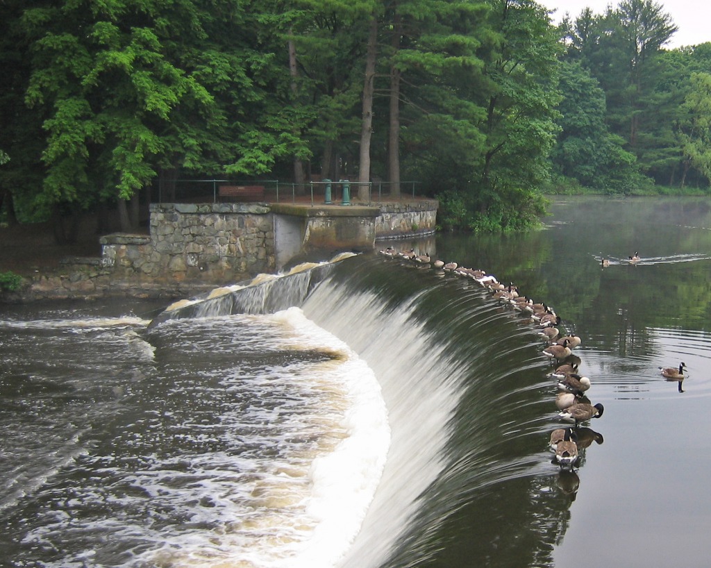 South Natick Dam, Charles River jigsaw puzzle in Waterfalls puzzles on TheJigsawPuzzles.com