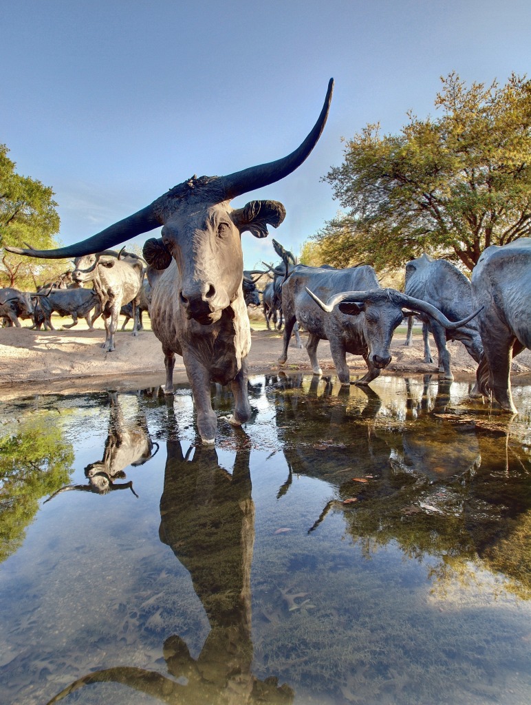Longhorns jigsaw puzzle in Animals puzzles on TheJigsawPuzzles.com