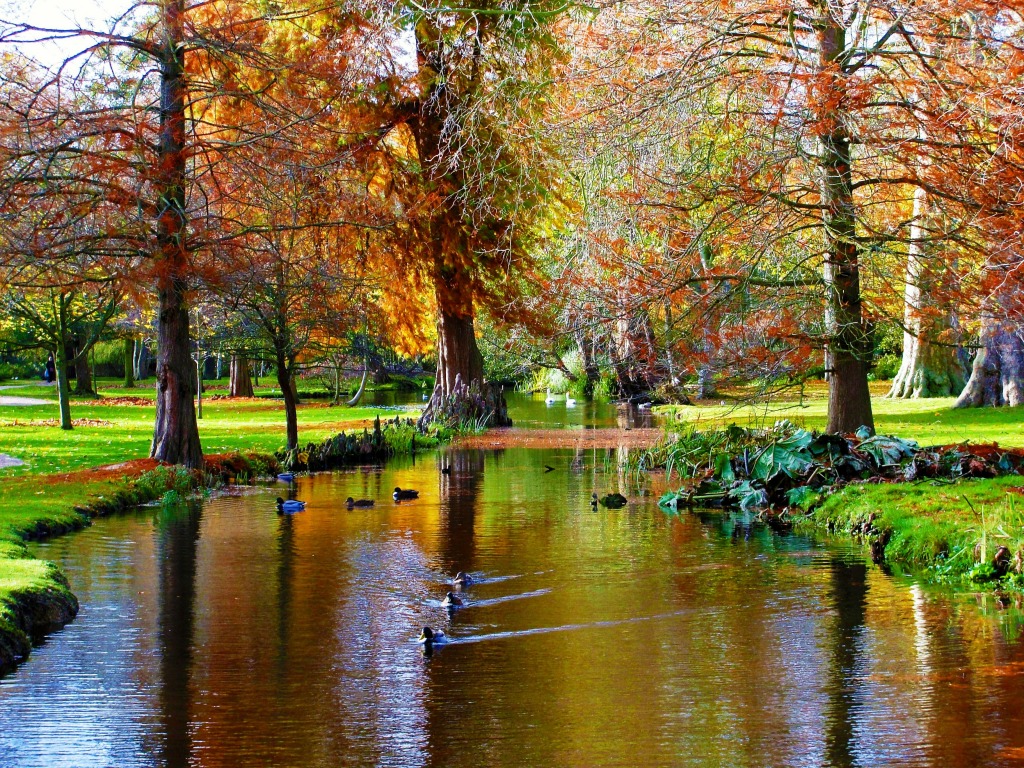 Bushy Park, Teddington, England jigsaw puzzle in Street View puzzles on TheJigsawPuzzles.com