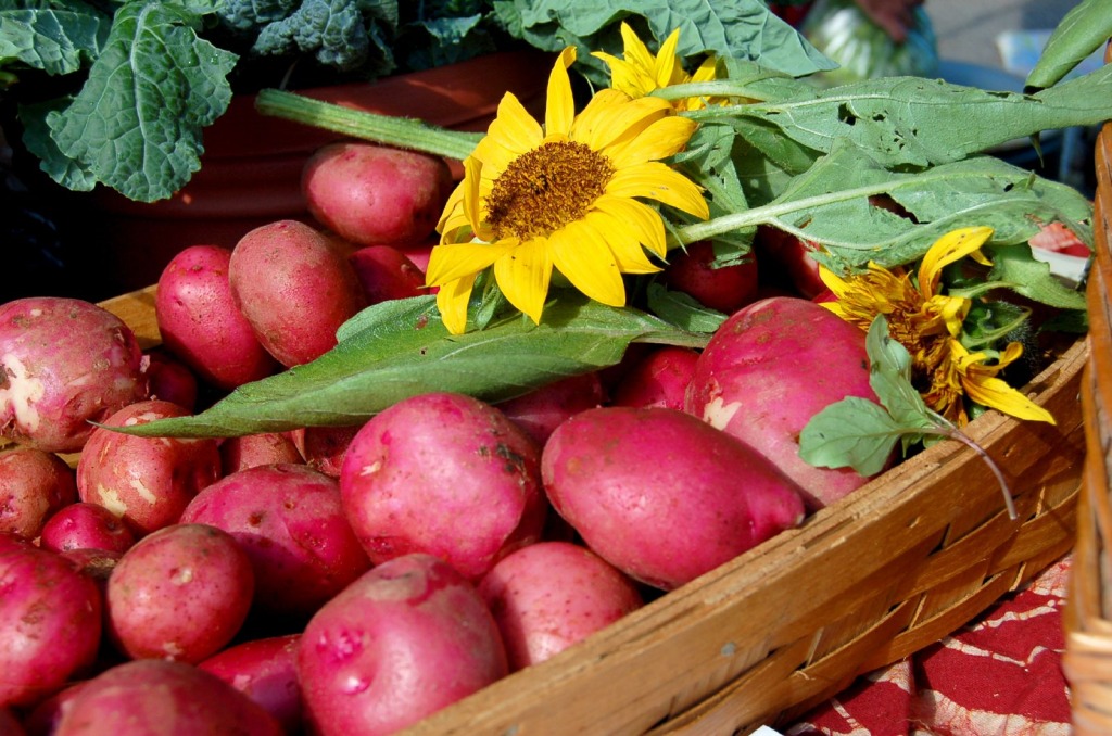 Red Potatoes jigsaw puzzle in Fruits & Veggies puzzles on TheJigsawPuzzles.com