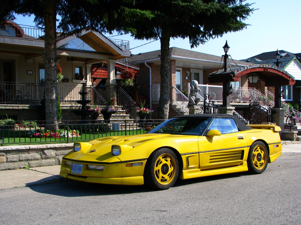 Chevrolet Corvette jigsaw puzzle in Cars & Bikes puzzles on TheJigsawPuzzles.com