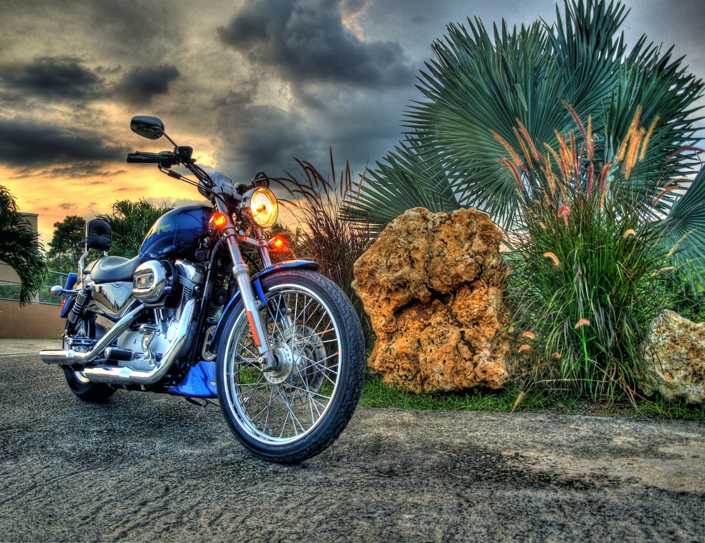 Harley Davidson jigsaw puzzle in Cars & Bikes puzzles on TheJigsawPuzzles.com