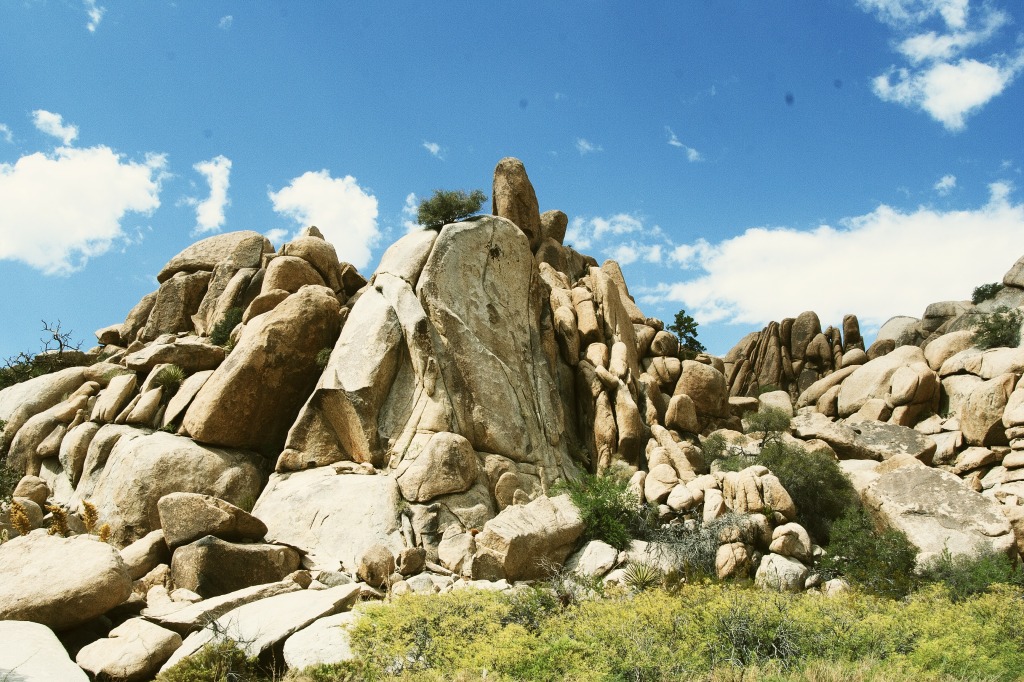 Joshua Tree National Park jigsaw puzzle in Great Sightings puzzles on TheJigsawPuzzles.com