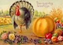 Thanksgiving Greetings