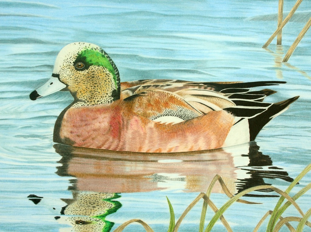 Duck Stamp Art Contest jigsaw puzzle in Puzzle of the Day puzzles on TheJigsawPuzzles.com