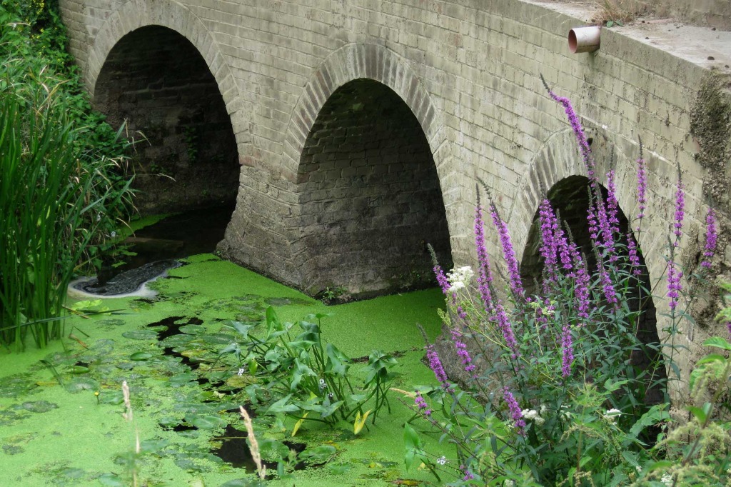 Lording's Aqueduct, West Sussex jigsaw puzzle in Bridges puzzles on TheJigsawPuzzles.com