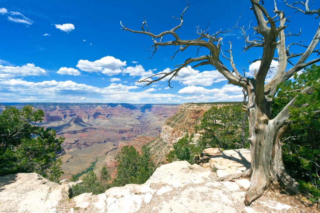 Grand Canyon jigsaw puzzle in Great Sightings puzzles on TheJigsawPuzzles.com