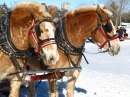 Sleigh Ride